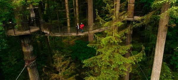 Treetops Adventure at Capilano Suspension Bridge Park