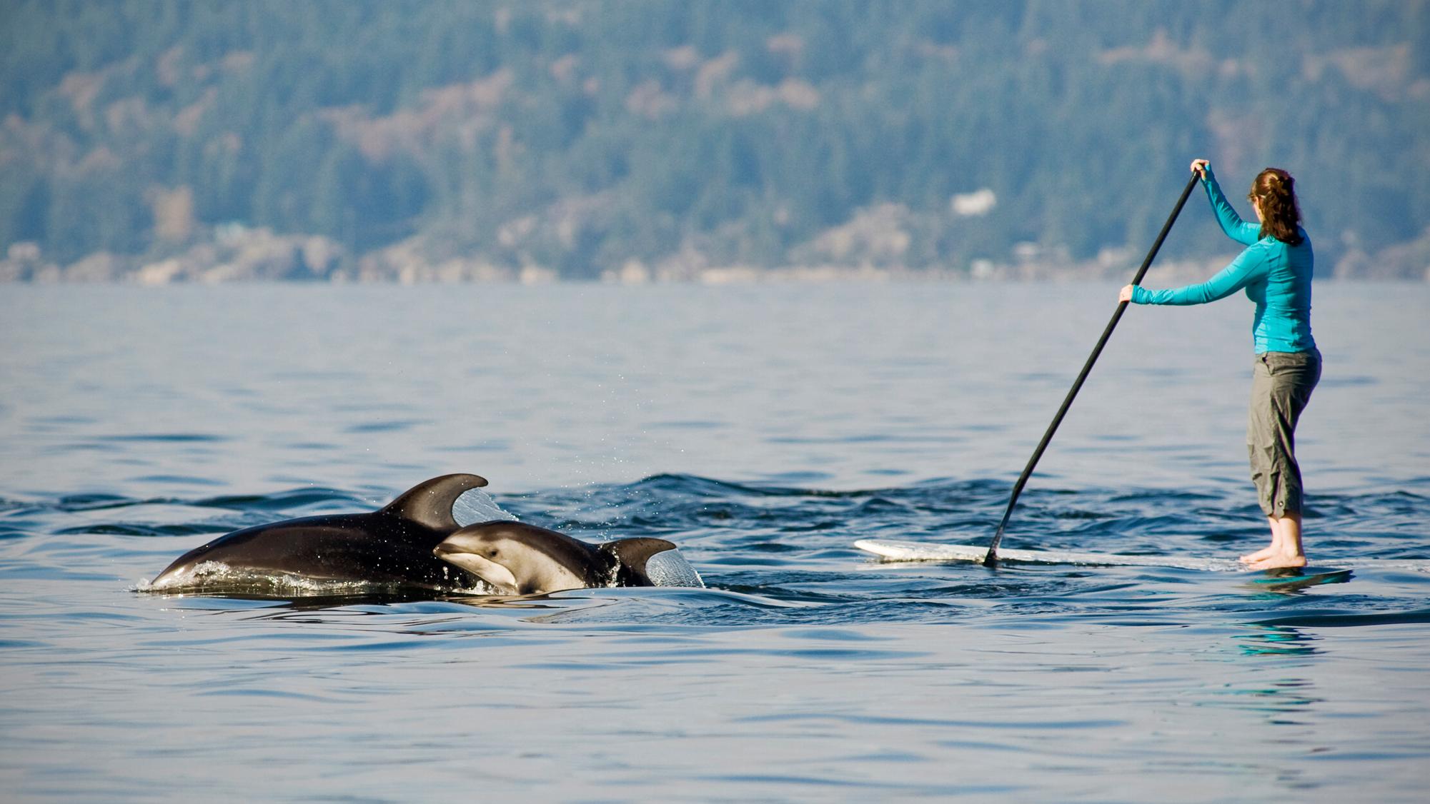 5 Ways to Get Out on the Water