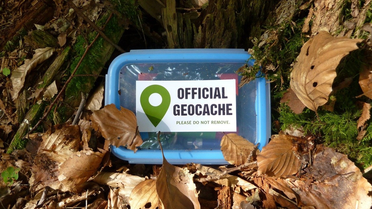 A geocache surrounded by leaves