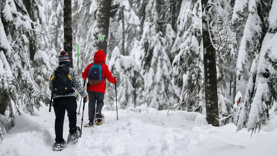 Two people snowshoeing at Cypress Mountain