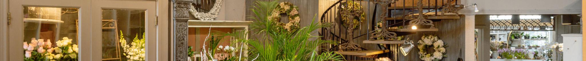 Kerrisdale plant shop