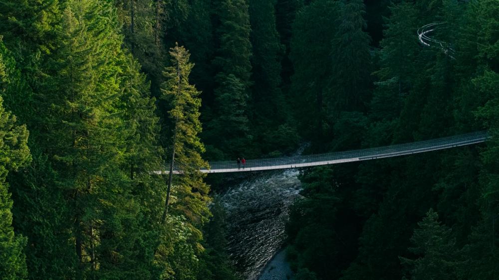Capilano Suspension Bridge with Cliffwalk above Capilano River at Capilano Suspension Bridge Park