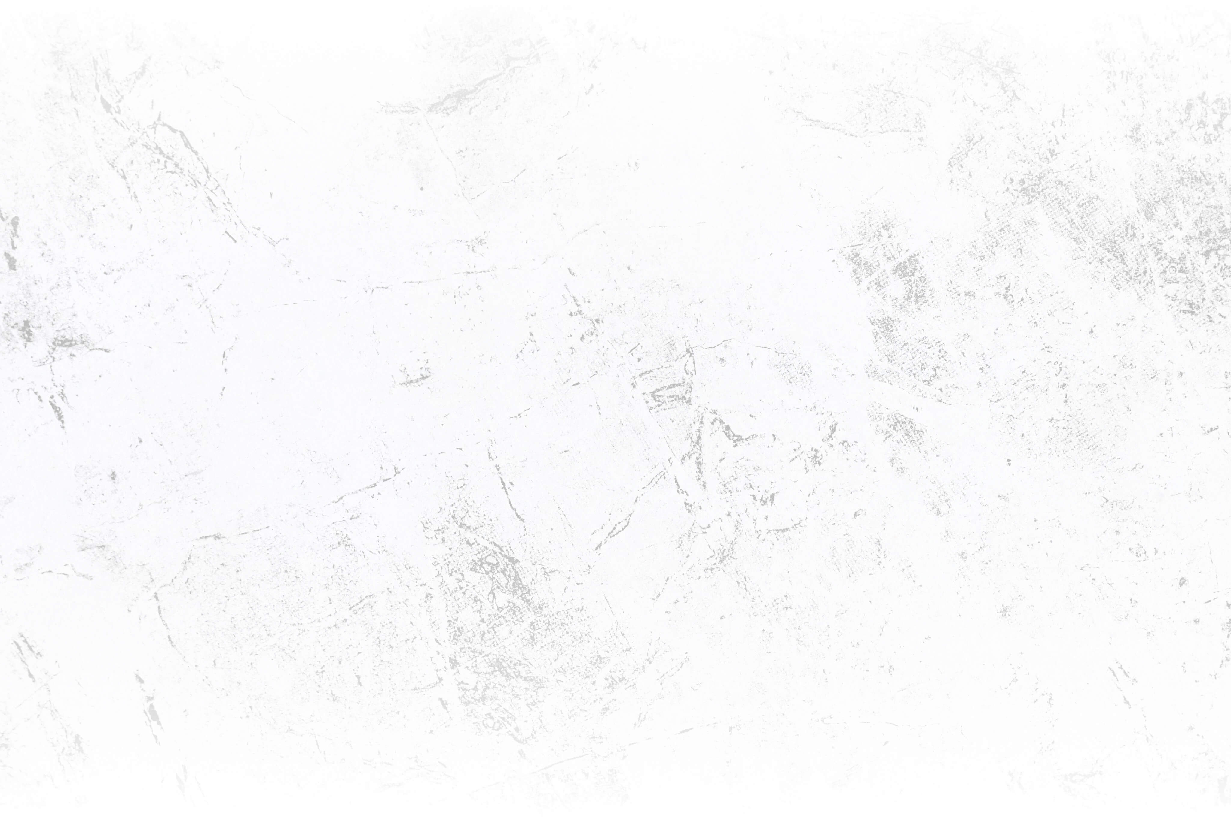 the last of us overlay