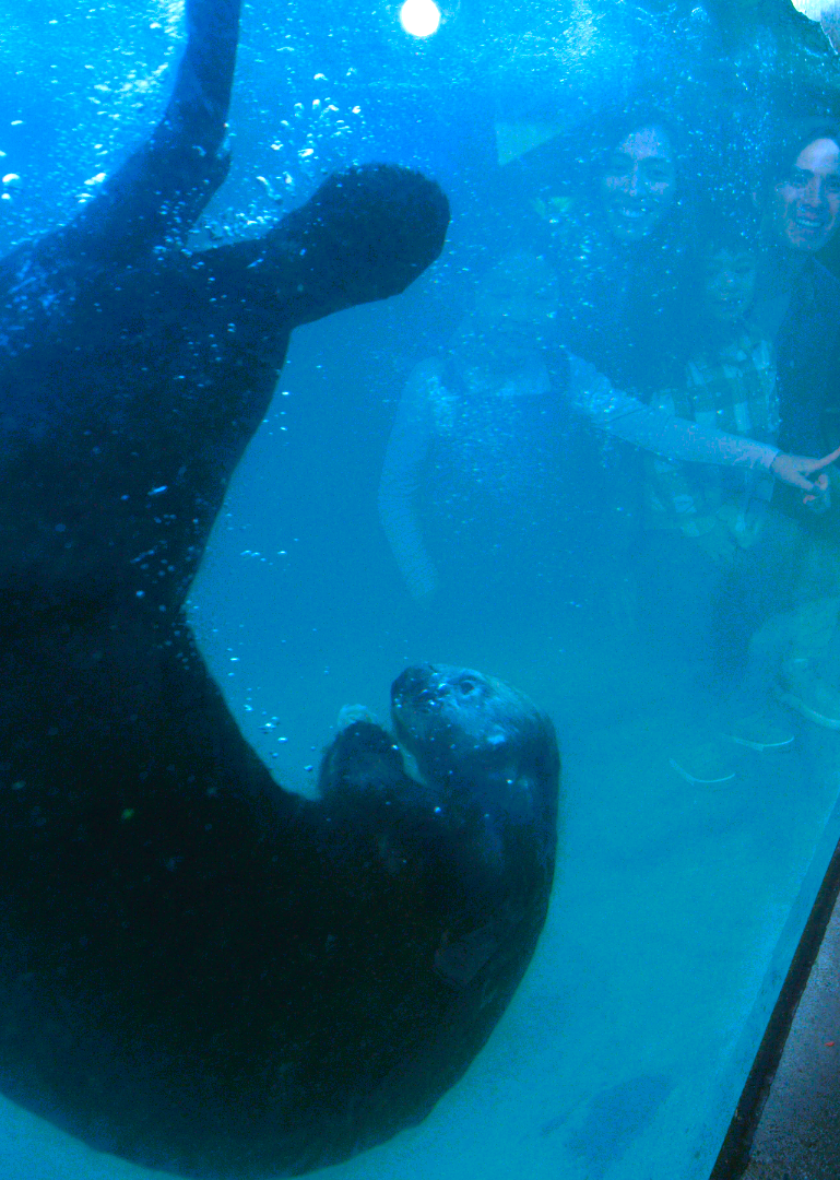 Family with Sea Otter