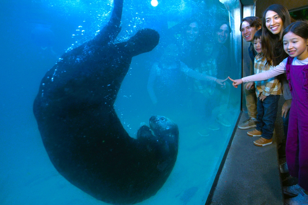 Family with Sea Otter