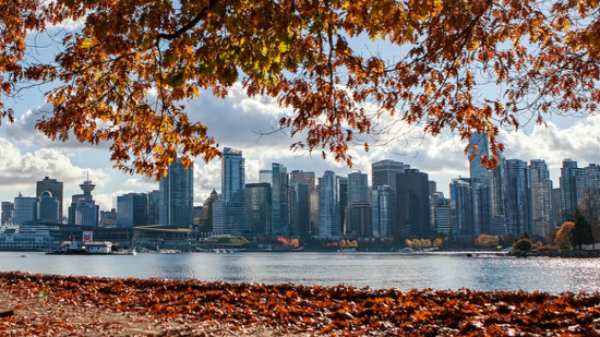 8 Ways to Embrace Fall in Vancouver
