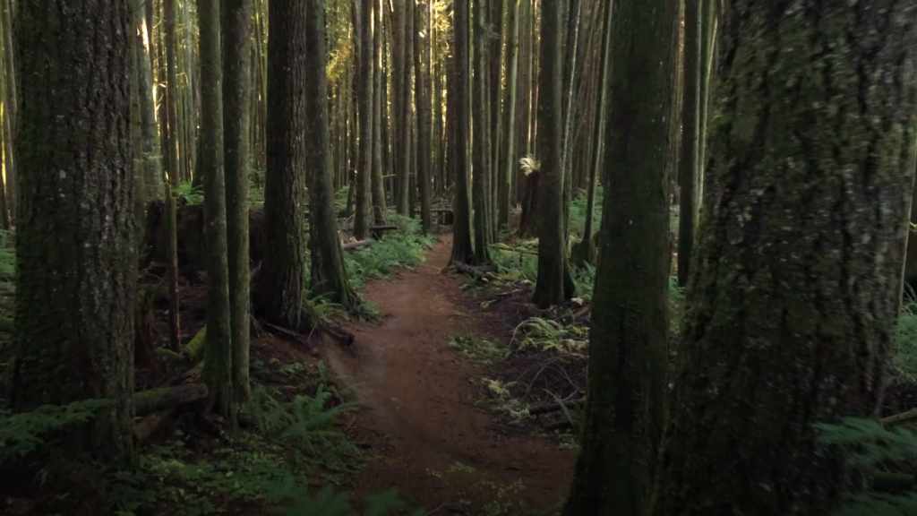 Find yourself
in the thrill